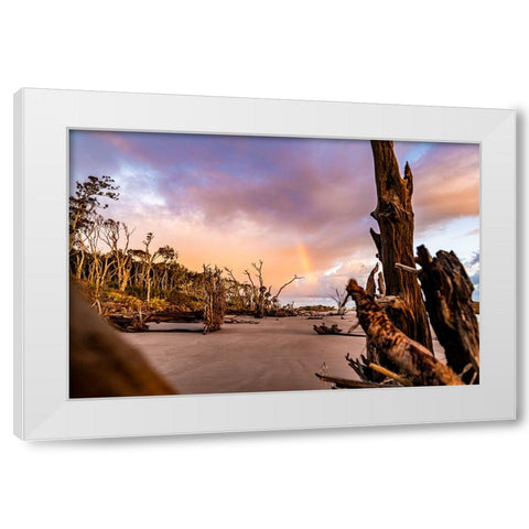 Amelia 1 White Modern Wood Framed Art Print by Malone, Will