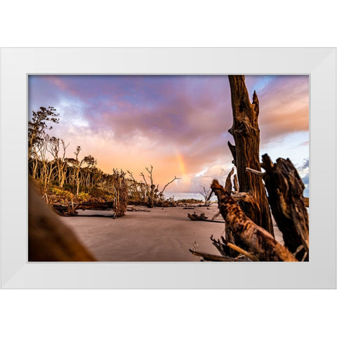 Amelia 1 White Modern Wood Framed Art Print by Malone, Will