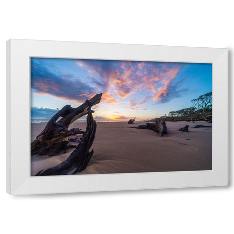 Amelia 3 White Modern Wood Framed Art Print by Malone, Will