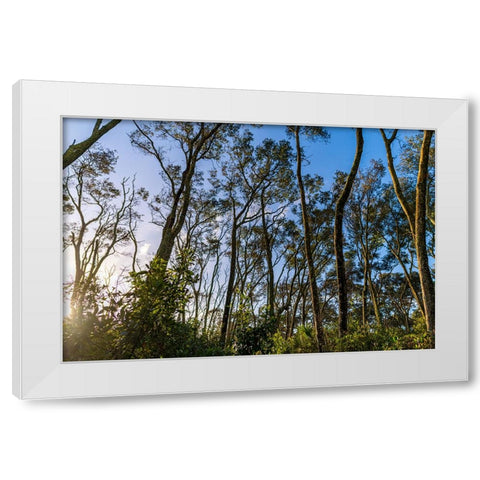 Awake White Modern Wood Framed Art Print by Malone, Will