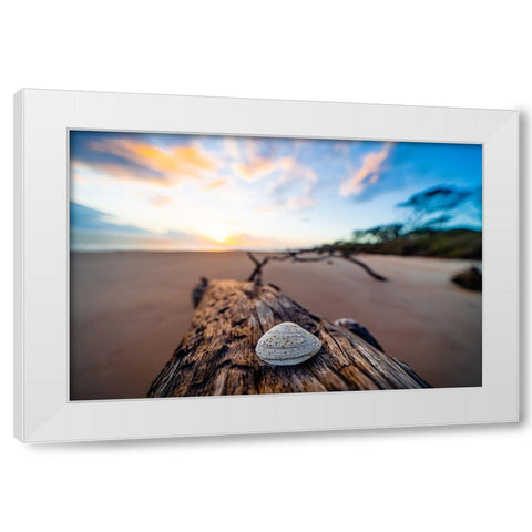 She Sells Seashells White Modern Wood Framed Art Print by Malone, Will