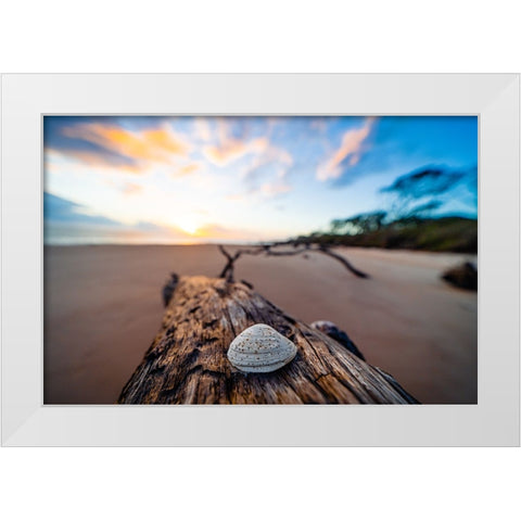 She Sells Seashells White Modern Wood Framed Art Print by Malone, Will