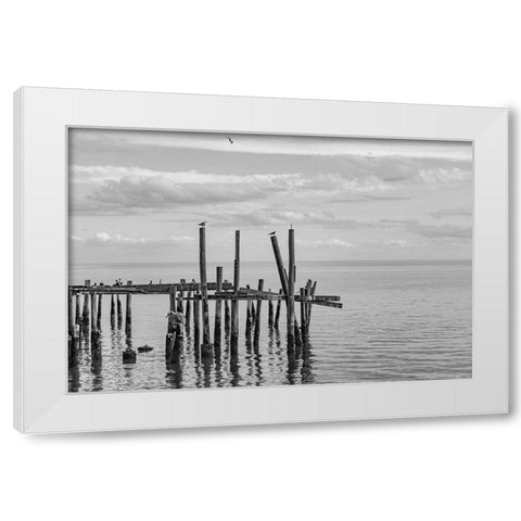 Jungle Gym 2 White Modern Wood Framed Art Print by Malone, Will