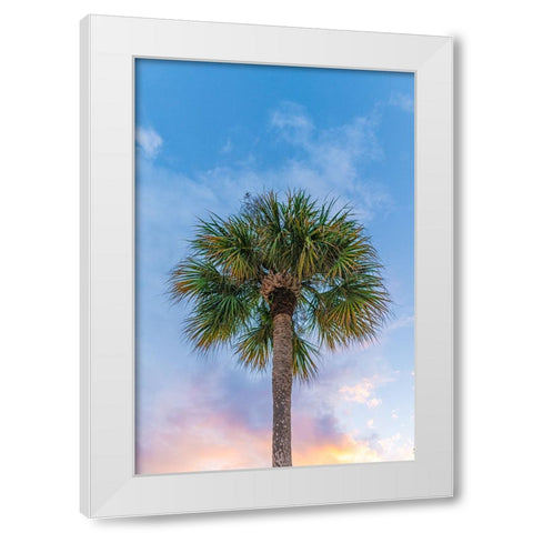 DeLand Sunset White Modern Wood Framed Art Print by Malone, Will