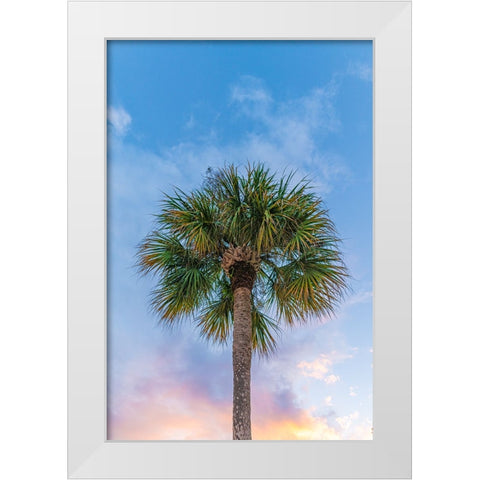 DeLand Sunset White Modern Wood Framed Art Print by Malone, Will