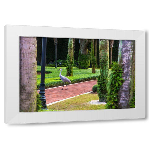 Bird About Town White Modern Wood Framed Art Print by Malone, Will