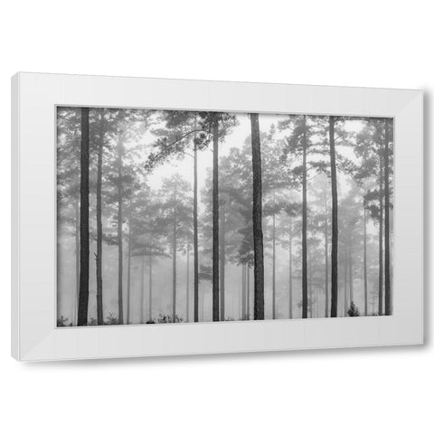 Fog White Modern Wood Framed Art Print by Malone, Will