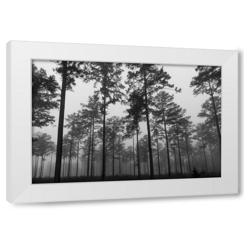 Fog 2 White Modern Wood Framed Art Print by Malone, Will
