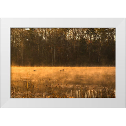 Tired Creek Golden Mist White Modern Wood Framed Art Print by Malone, Will