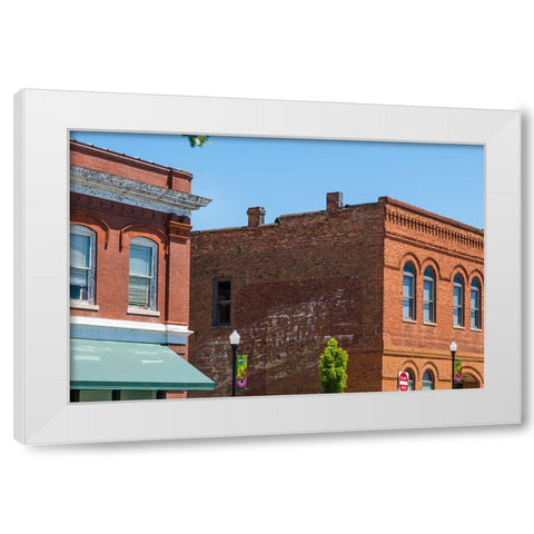 Spearmint White Modern Wood Framed Art Print by Malone, Will