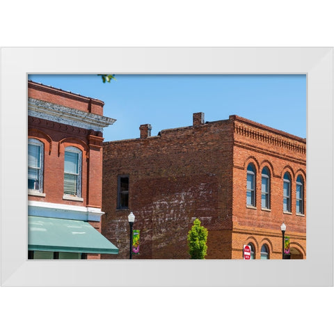 Spearmint White Modern Wood Framed Art Print by Malone, Will