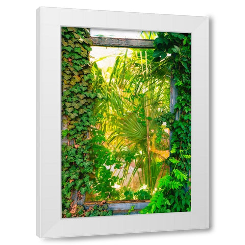 The Window White Modern Wood Framed Art Print by Malone, Will