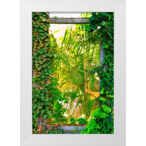 The Window White Modern Wood Framed Art Print by Malone, Will