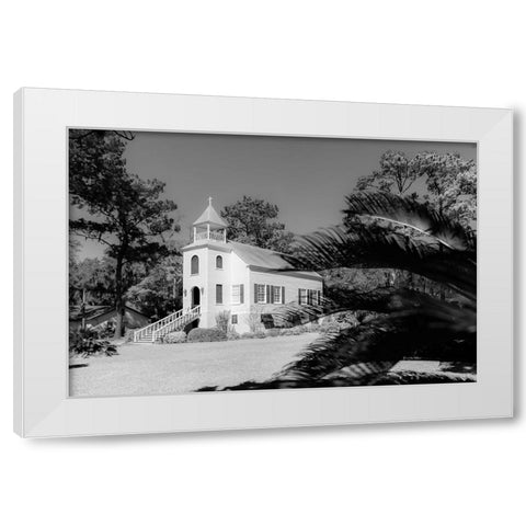 First Pres 2 White Modern Wood Framed Art Print by Malone, Will