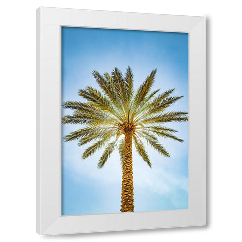 Glowing Palms White Modern Wood Framed Art Print by Malone, Will