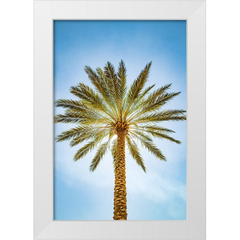 Glowing Palms White Modern Wood Framed Art Print by Malone, Will