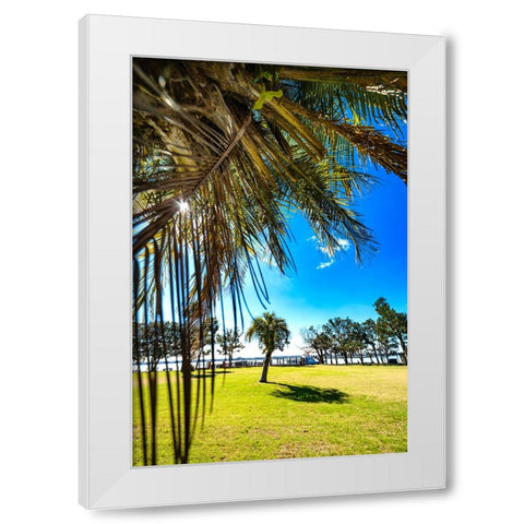 Palm Park White Modern Wood Framed Art Print by Malone, Will