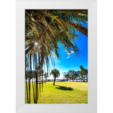 Palm Park White Modern Wood Framed Art Print by Malone, Will