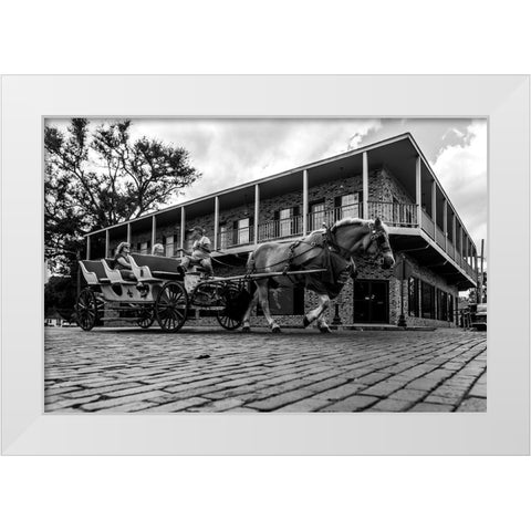 Horse Tour White Modern Wood Framed Art Print by Malone, Will