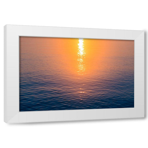 Morning Sun White Modern Wood Framed Art Print by Malone, Will