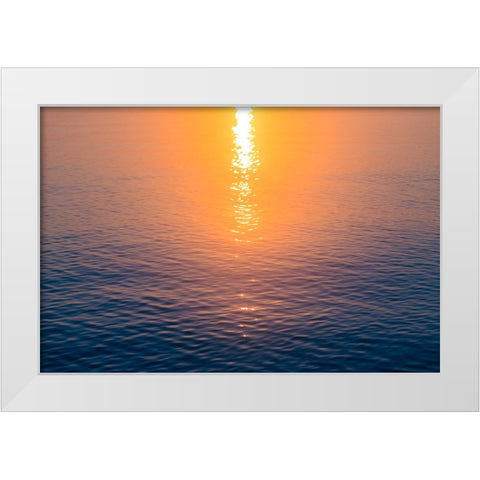 Morning Sun White Modern Wood Framed Art Print by Malone, Will