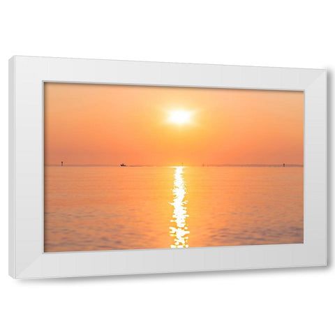 Morning Sun 2 White Modern Wood Framed Art Print by Malone, Will