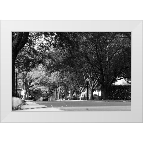 5th Ave White Modern Wood Framed Art Print by Malone, Will