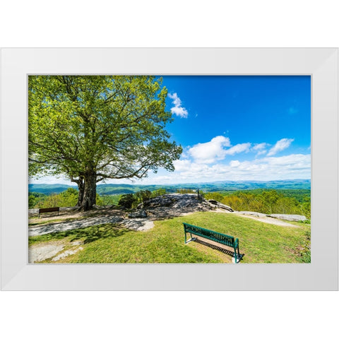 Laurel Park White Modern Wood Framed Art Print by Malone, Will