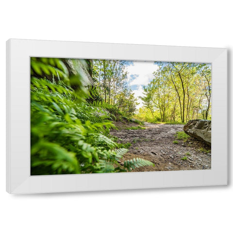 Under the Rock 2 White Modern Wood Framed Art Print by Malone, Will