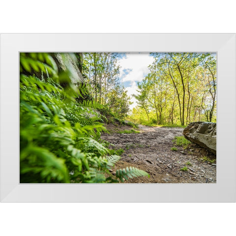 Under the Rock 2 White Modern Wood Framed Art Print by Malone, Will