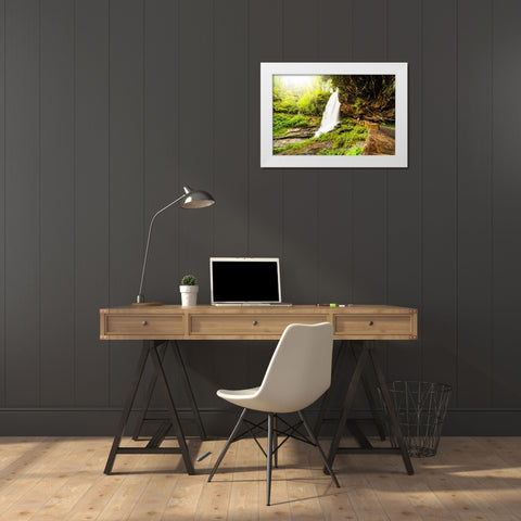 Dry Falls 4 White Modern Wood Framed Art Print by Malone, Will