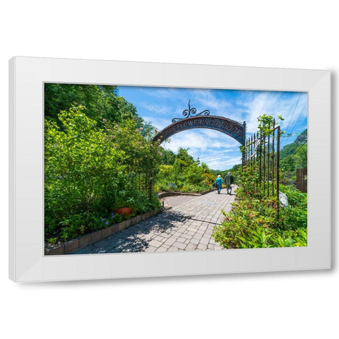 Flowering Bridge White Modern Wood Framed Art Print by Malone, Will
