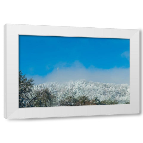 Snow Antenna White Modern Wood Framed Art Print by Malone, Will