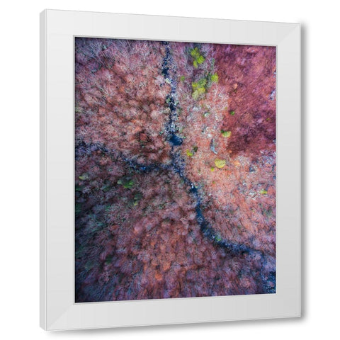 Signal Mountain Aerial  White Modern Wood Framed Art Print by Malone, Will