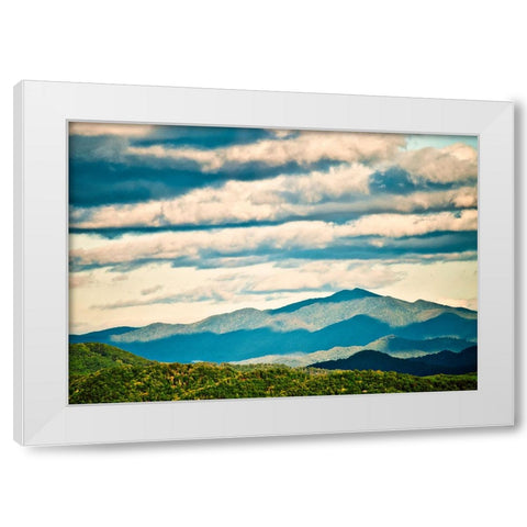 Smokey White Modern Wood Framed Art Print by Malone, Will