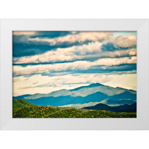 Smokey White Modern Wood Framed Art Print by Malone, Will