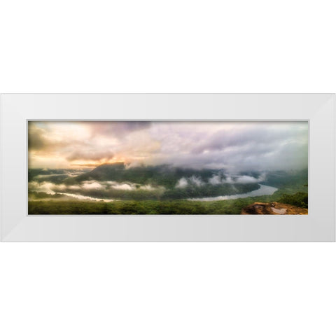 Snooper White Modern Wood Framed Art Print by Malone, Will