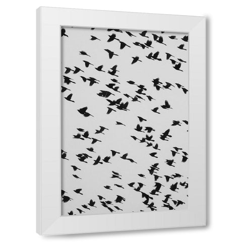 The Birds White Modern Wood Framed Art Print by Malone, Will