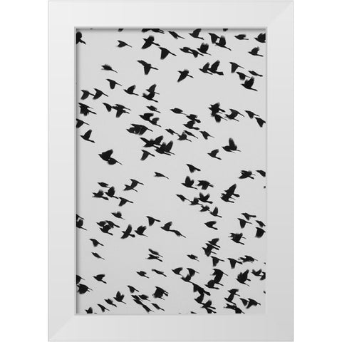 The Birds White Modern Wood Framed Art Print by Malone, Will