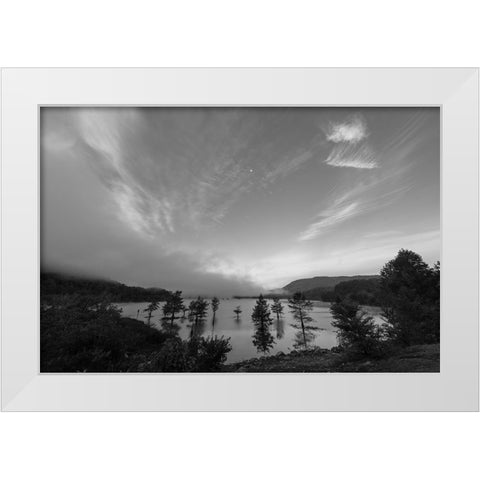 Day Night White Modern Wood Framed Art Print by Malone, Will