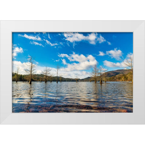 Midday Ocoee White Modern Wood Framed Art Print by Malone, Will