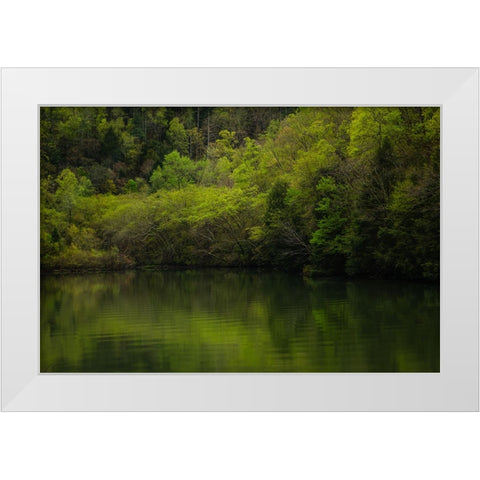 Ocoee Calm 2 White Modern Wood Framed Art Print by Malone, Will