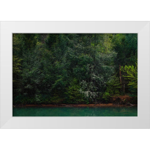 Ocoee Calm 3 White Modern Wood Framed Art Print by Malone, Will