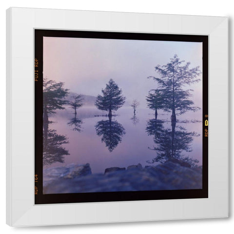 Ocoee Fog White Modern Wood Framed Art Print by Malone, Will