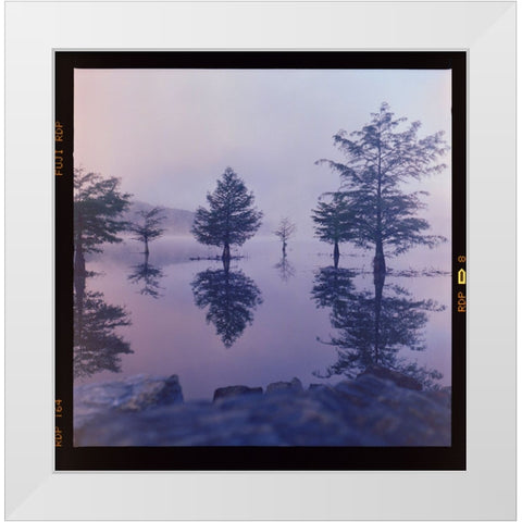 Ocoee Fog White Modern Wood Framed Art Print by Malone, Will