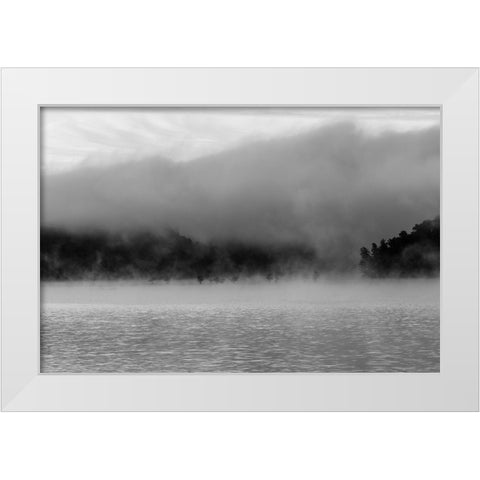 Ocoee Fog 3 White Modern Wood Framed Art Print by Malone, Will