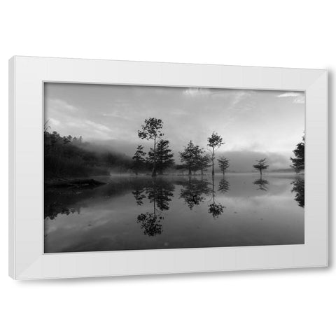 Ocoee Fog 4 White Modern Wood Framed Art Print by Malone, Will