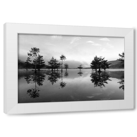 Ocoee Fog 5 White Modern Wood Framed Art Print by Malone, Will