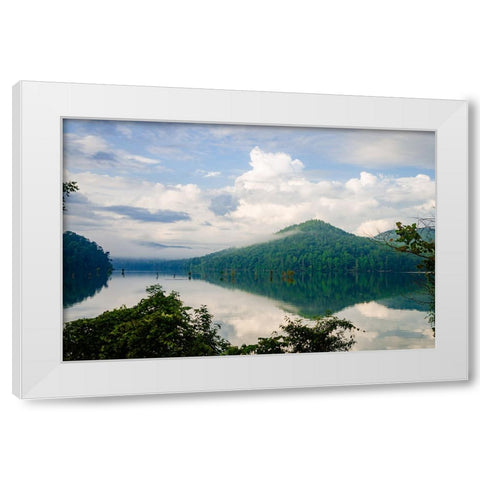 Ocoee Mist White Modern Wood Framed Art Print by Malone, Will