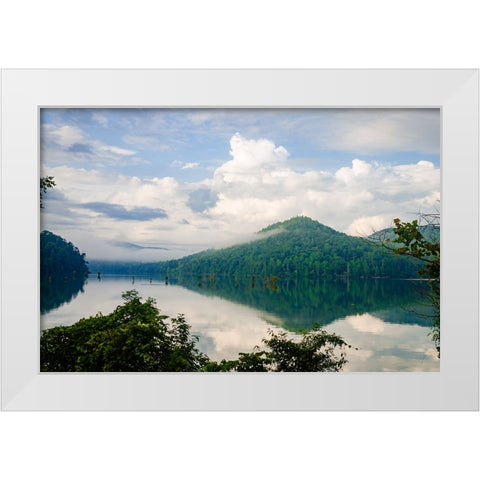 Ocoee Mist White Modern Wood Framed Art Print by Malone, Will